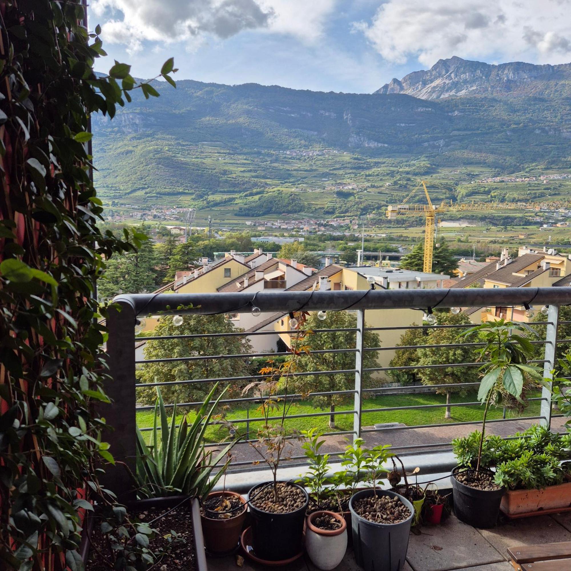 Vista Mozzafiato Sulle Alpi Daire Rovereto  Dış mekan fotoğraf