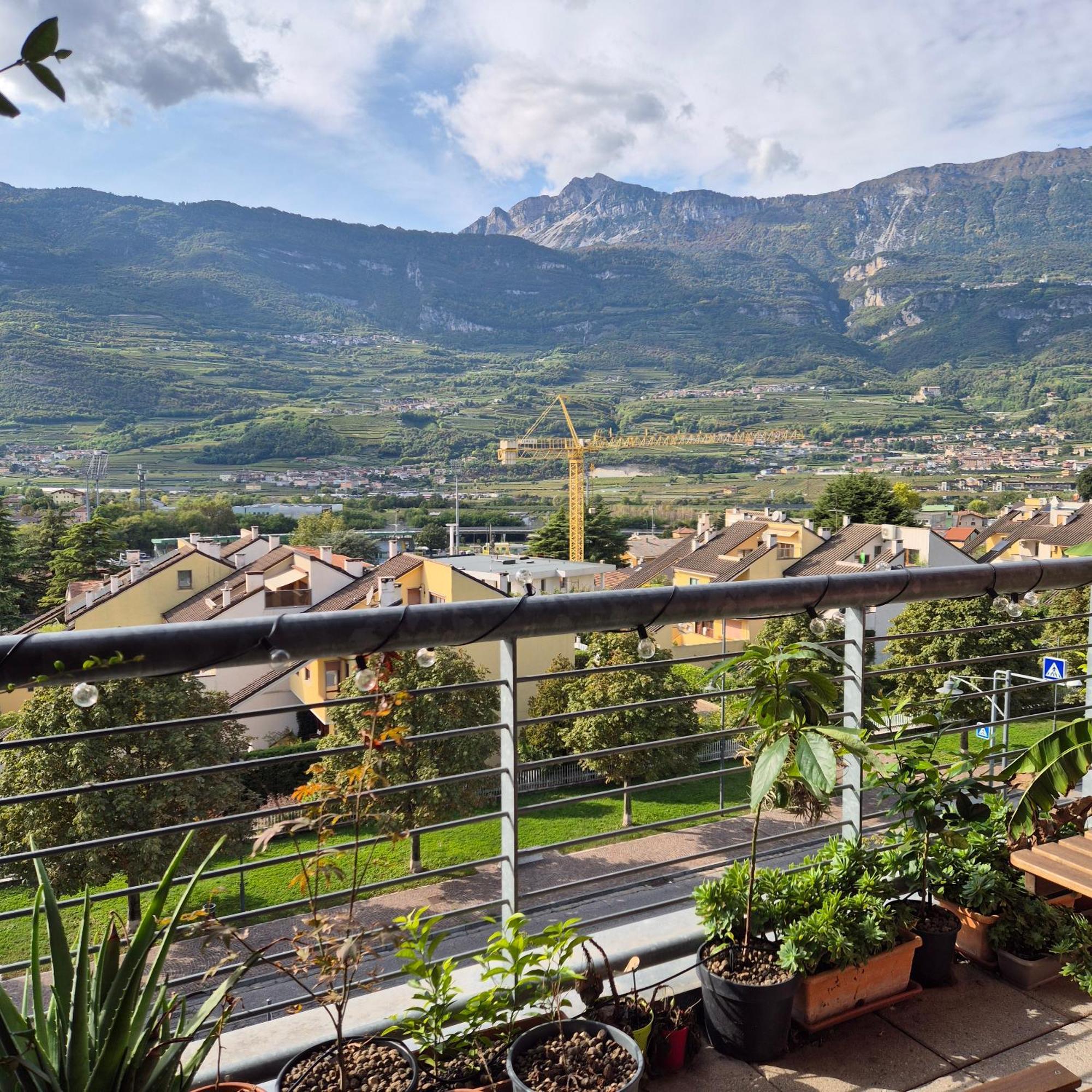 Vista Mozzafiato Sulle Alpi Daire Rovereto  Dış mekan fotoğraf